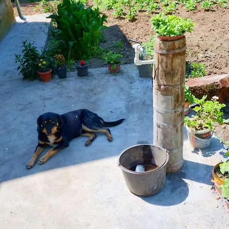 Appartamento Sumska Tajna - Radenkovac Lipovac (Topola)