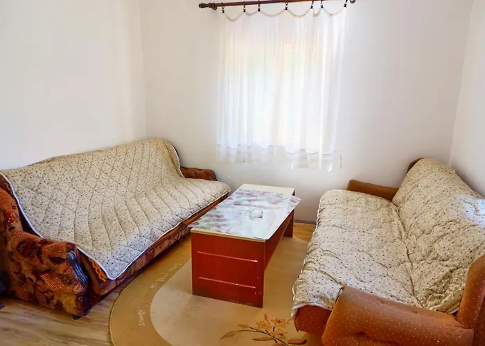 Sumska Tajna - Radenkovac * Lipovac (Topola)